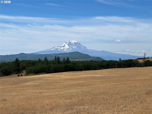 ADDRESS PRIVATE, GOLDENDALE, WA  - Image 98a2636a01ced9845bdbc75fabd2cf7c/3695588356