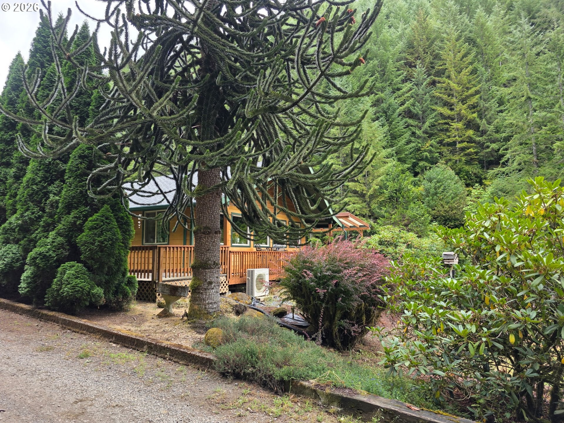 1860 OAR CREEK RD
