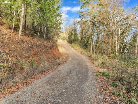 A home in Willamina