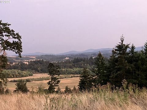 A home in Willamina