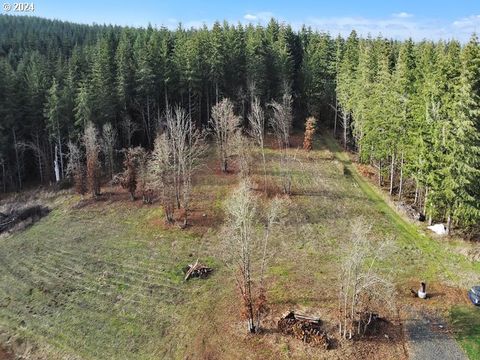 A home in Willamina