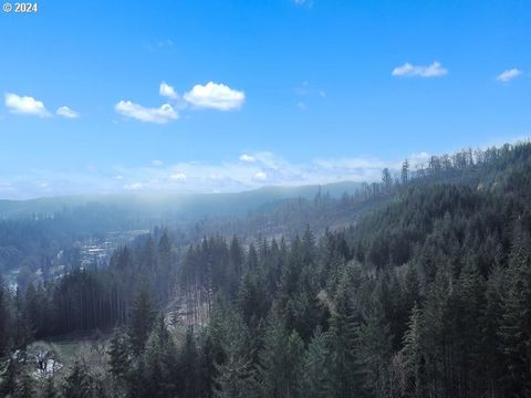 A home in Willamina