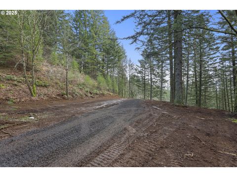 Photo of Kueffler Rd, Skamania, WA 98648 (MLS # 287896900)