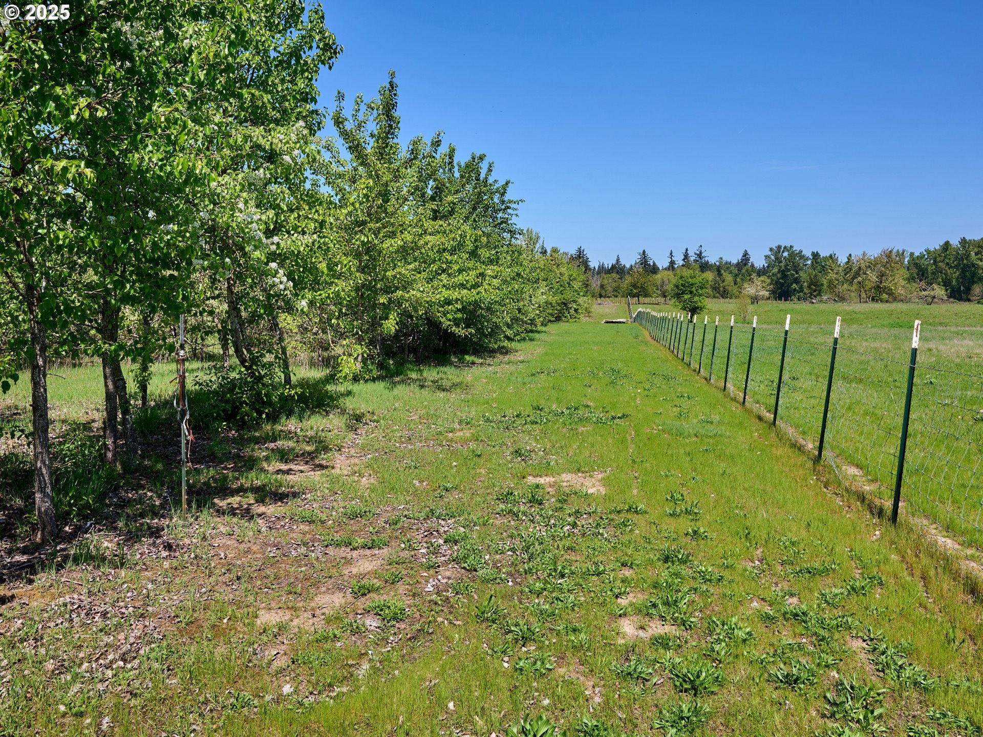 Canby, Oregon 97013, United States, 3 Bedrooms Bedrooms, ,3 BathroomsBathrooms,Residential,Active,83260