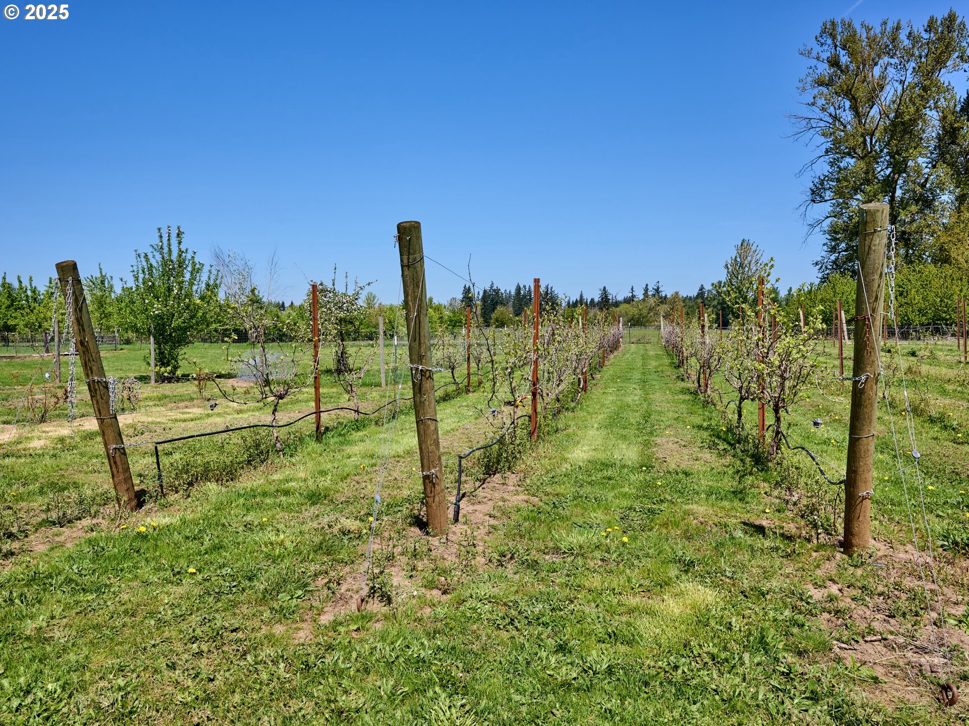 Canby, Oregon 97013, United States, 3 Bedrooms Bedrooms, ,3 BathroomsBathrooms,Residential,Active,83260