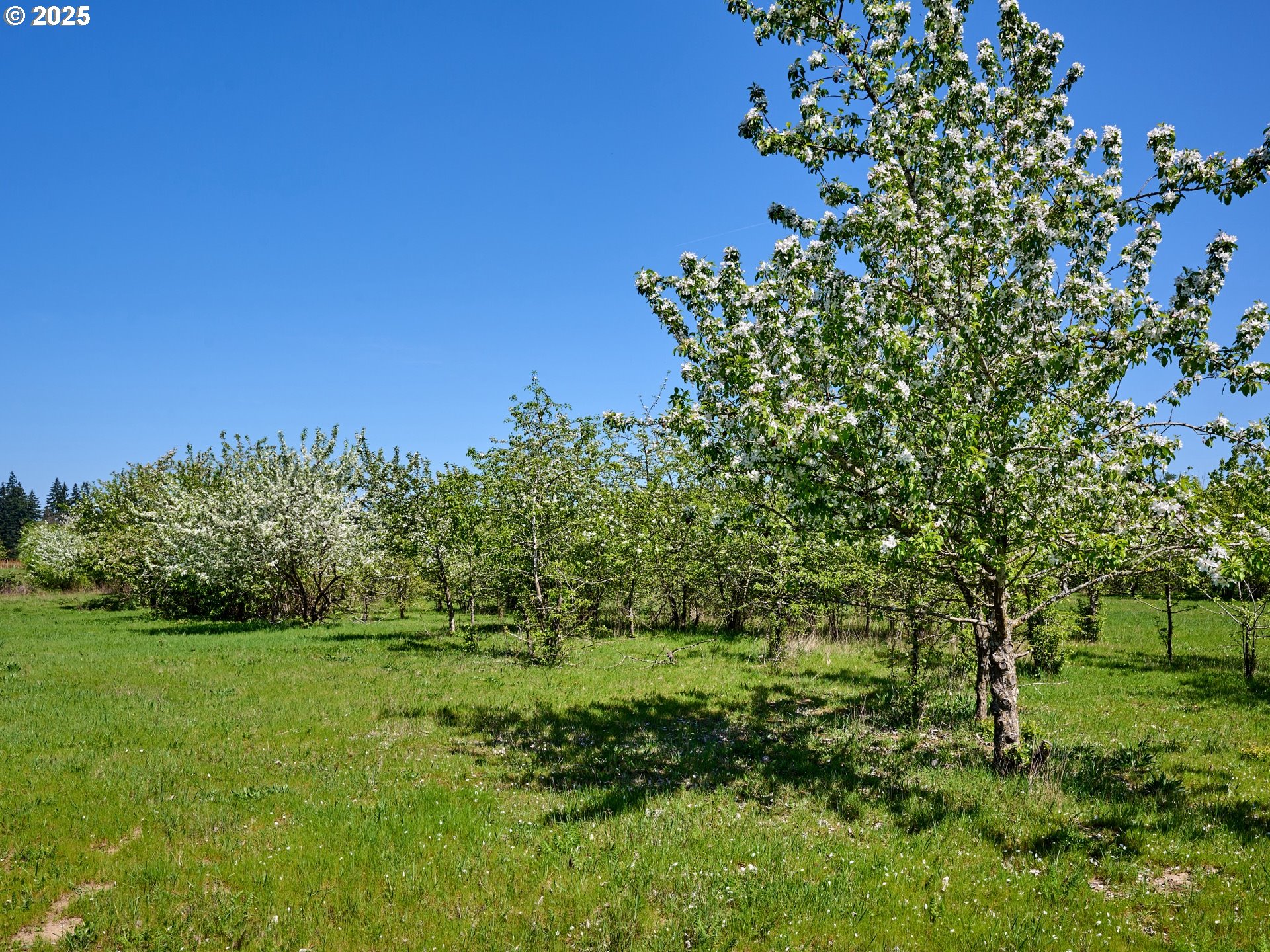 Canby, Oregon 97013, United States, 3 Bedrooms Bedrooms, ,3 BathroomsBathrooms,Residential,Active,83260