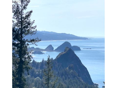 38097 PACIFIC HIGHLANDS DR Port Orford OR 97465