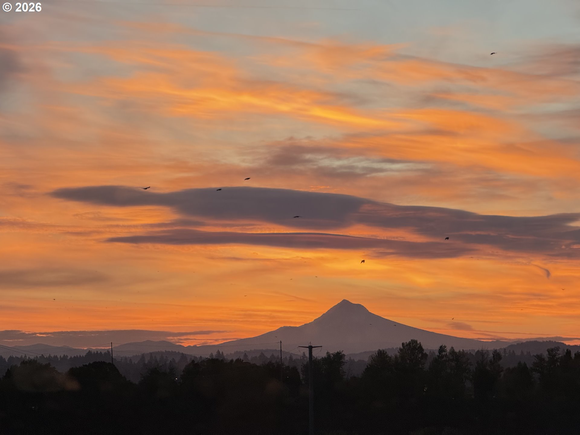 3570 S RIVER PKWY 1303