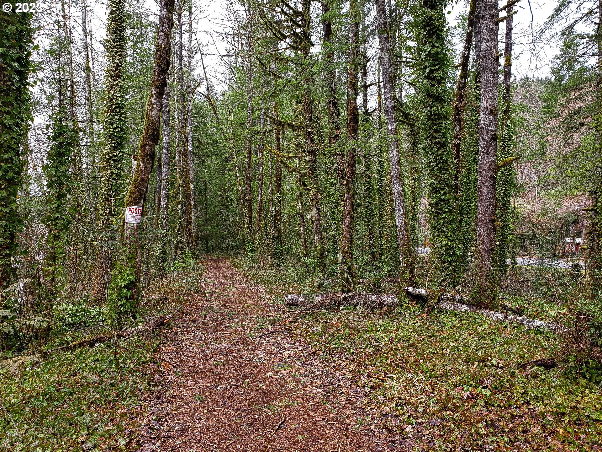 Brightwood, Oregon 97011, United States, ,Land,Active,184148