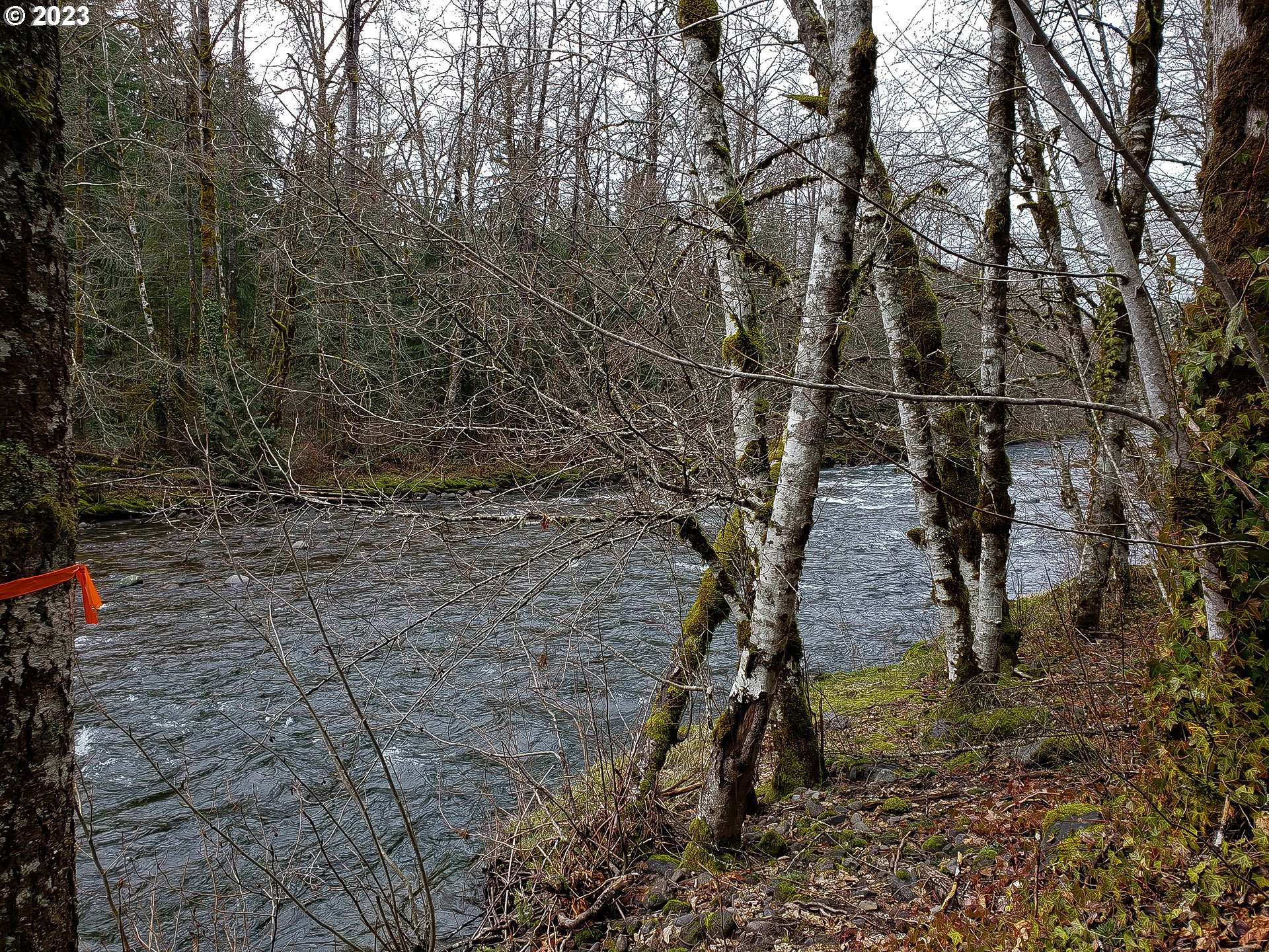 Brightwood, Oregon 97011, United States, ,Land,Active,184148