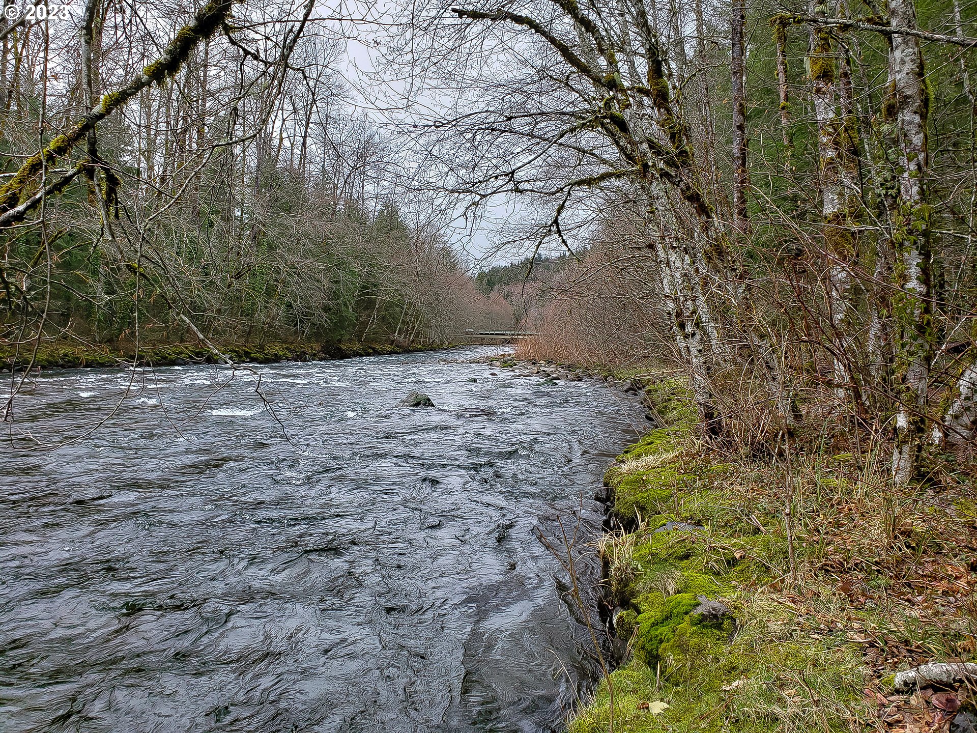 Brightwood, Oregon 97011, United States, ,Land,Active,184148