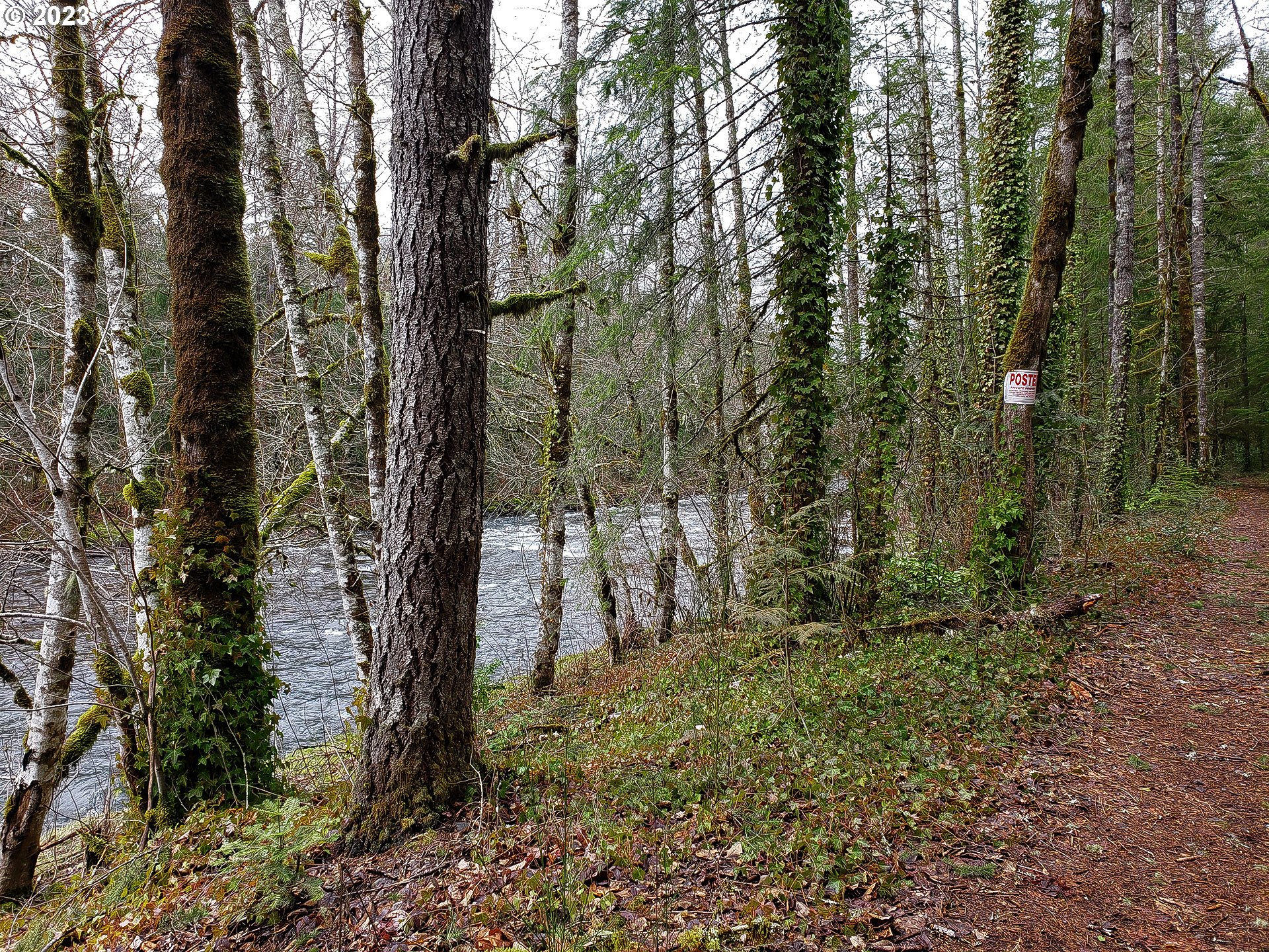 Brightwood, Oregon 97011, United States, ,Land,Active,184148