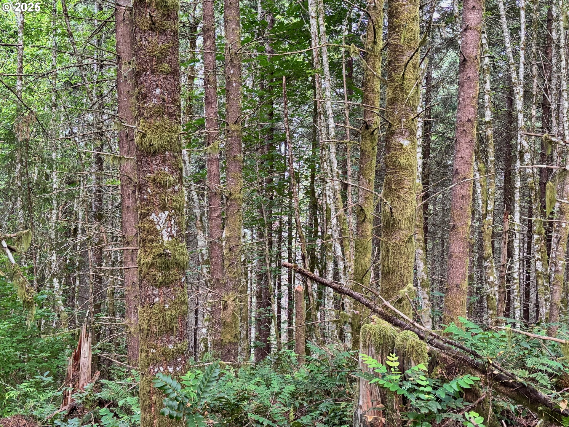 NW Pebble Creek Rd
