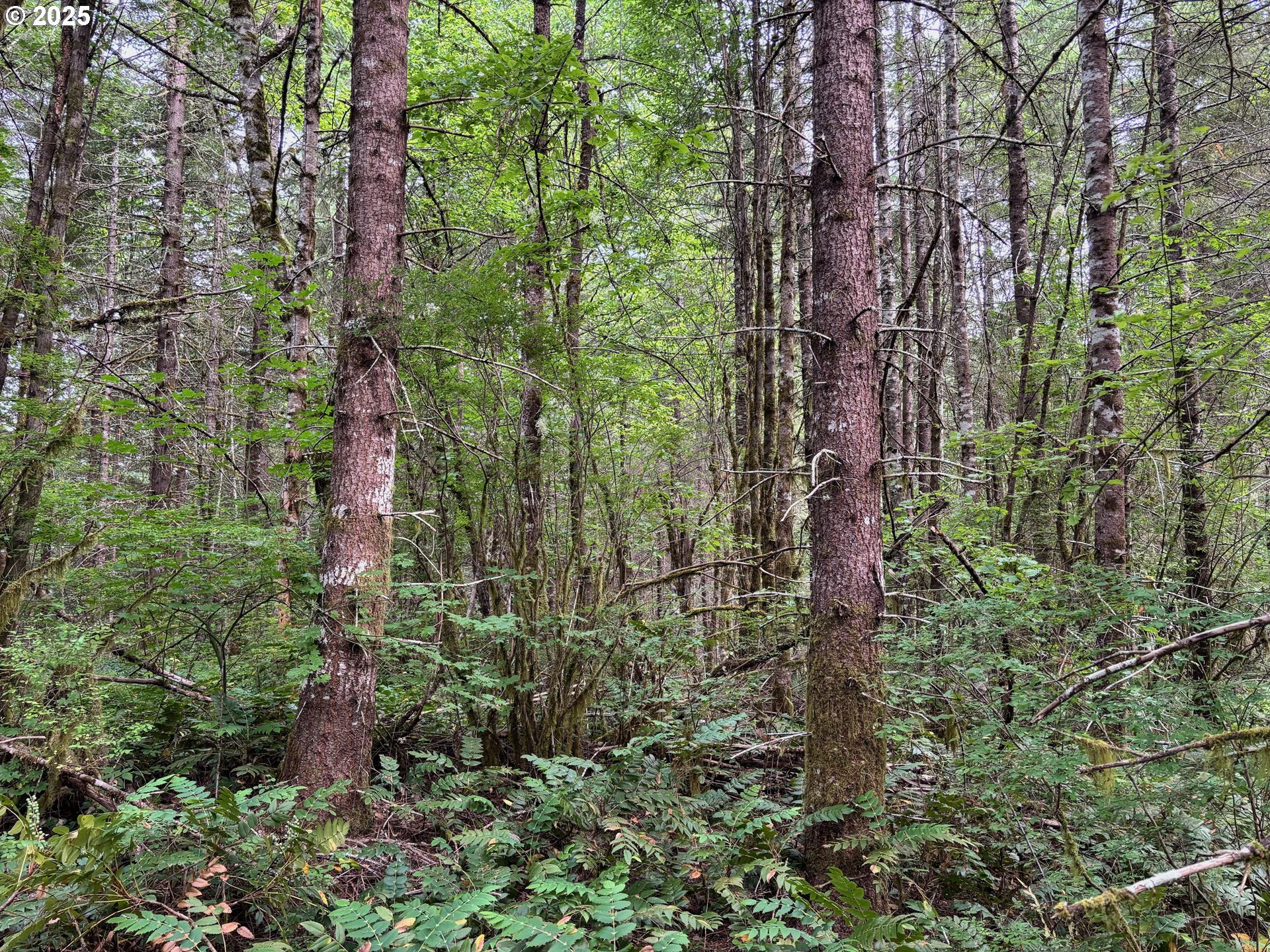 NW Pebble Creek Rd