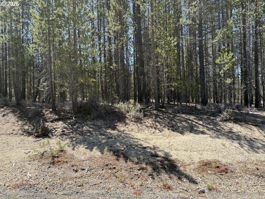 SURVEYOR RD, CRESCENT, OR 97733 - Image 9c63839d3fb534e27db807bc9352d4bb/2015526817