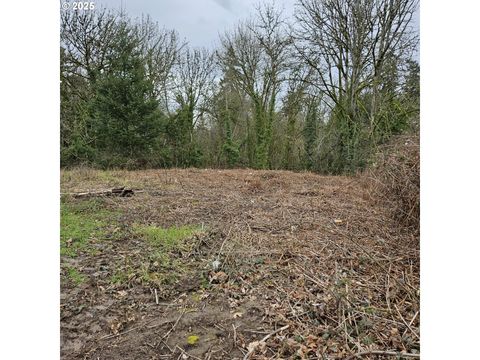 3rd ST 2 Newberg OR 97132