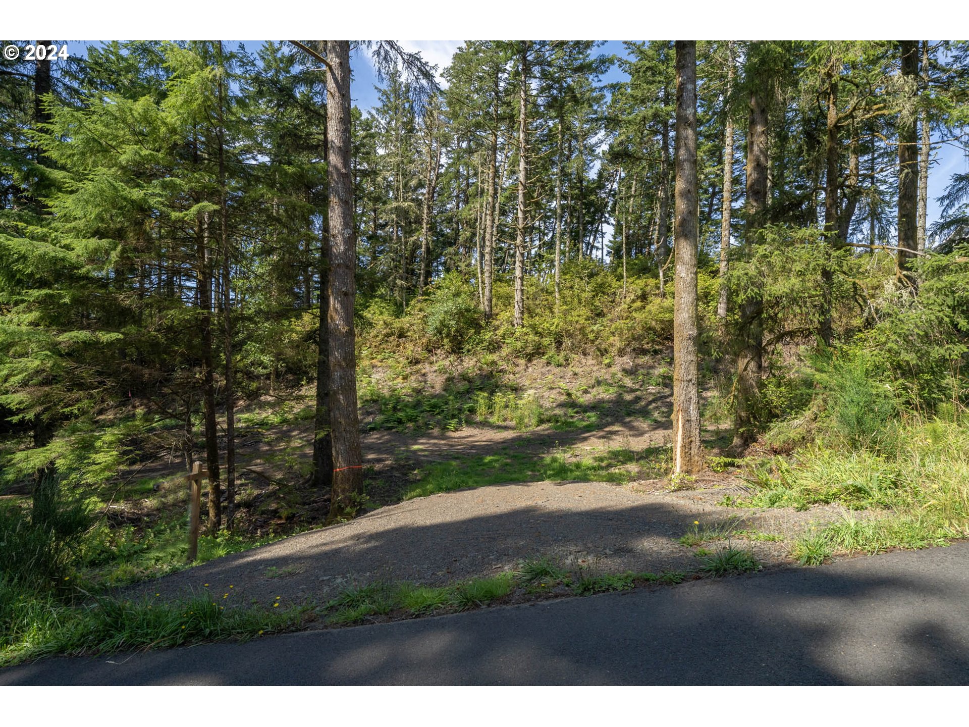 Oceanside, Oregon 97134, United States, ,Land,Pending,66213