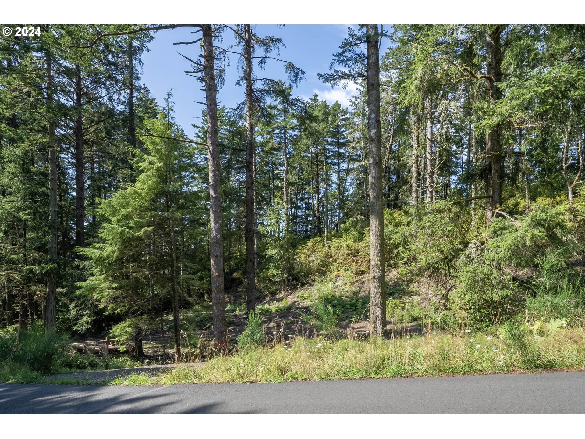 Oceanside, Oregon 97134, United States, ,Land,Pending,66213