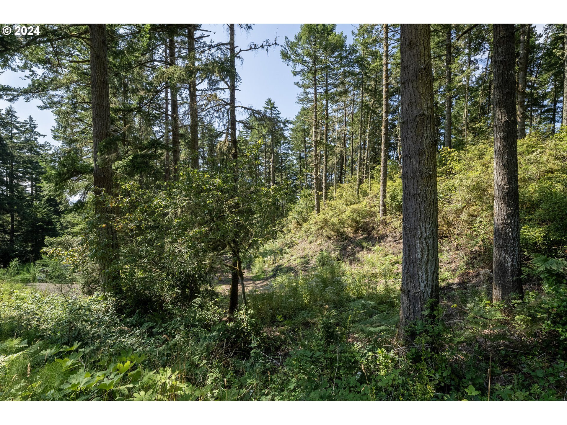 Oceanside, Oregon 97134, United States, ,Land,Pending,66213