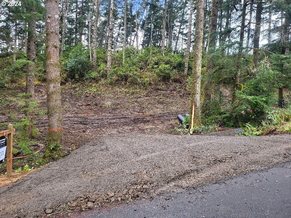 Oceanside, Oregon 97134, United States, ,Land,Pending,66213