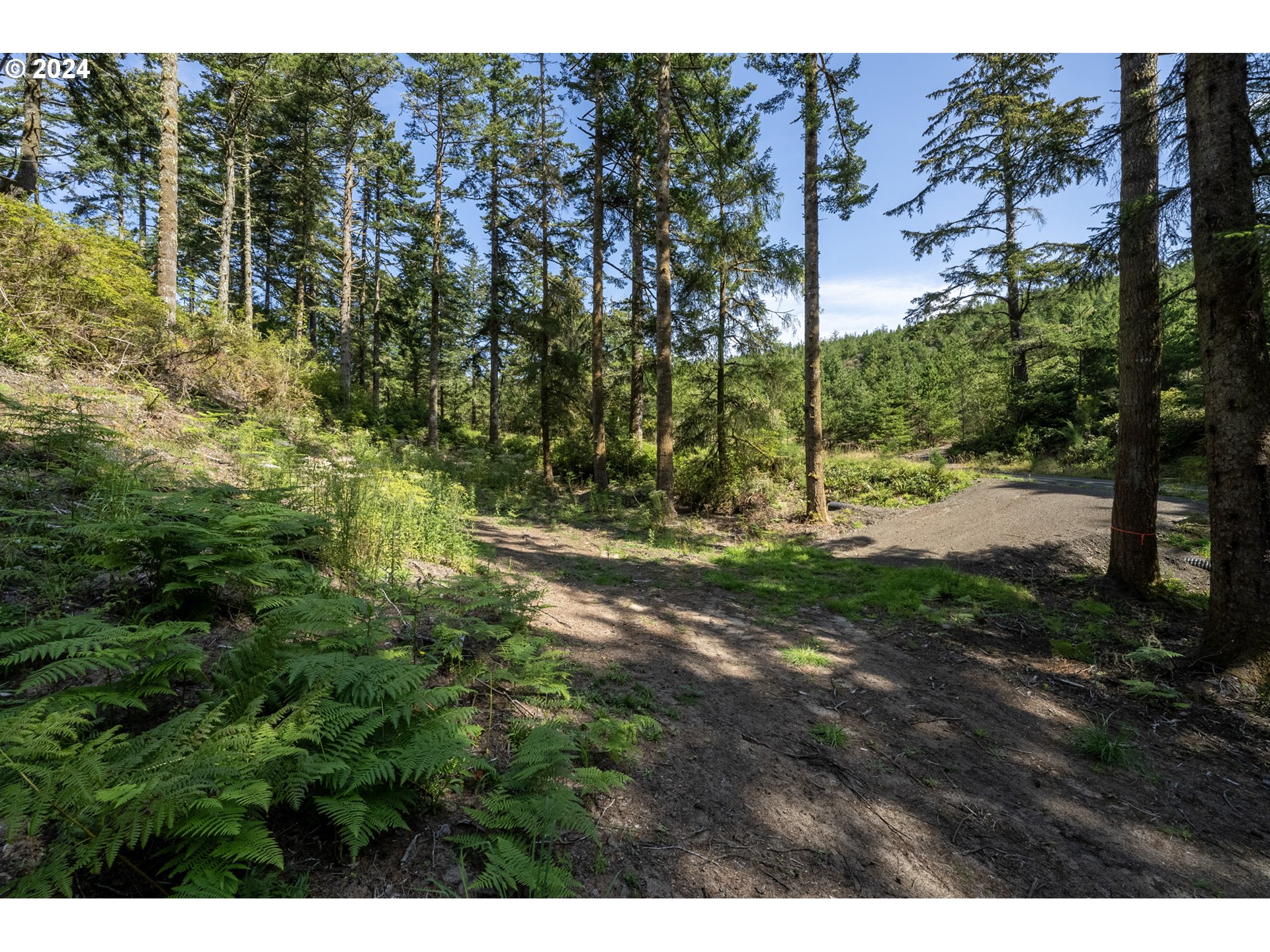 Oceanside, Oregon 97134, United States, ,Land,Pending,66213