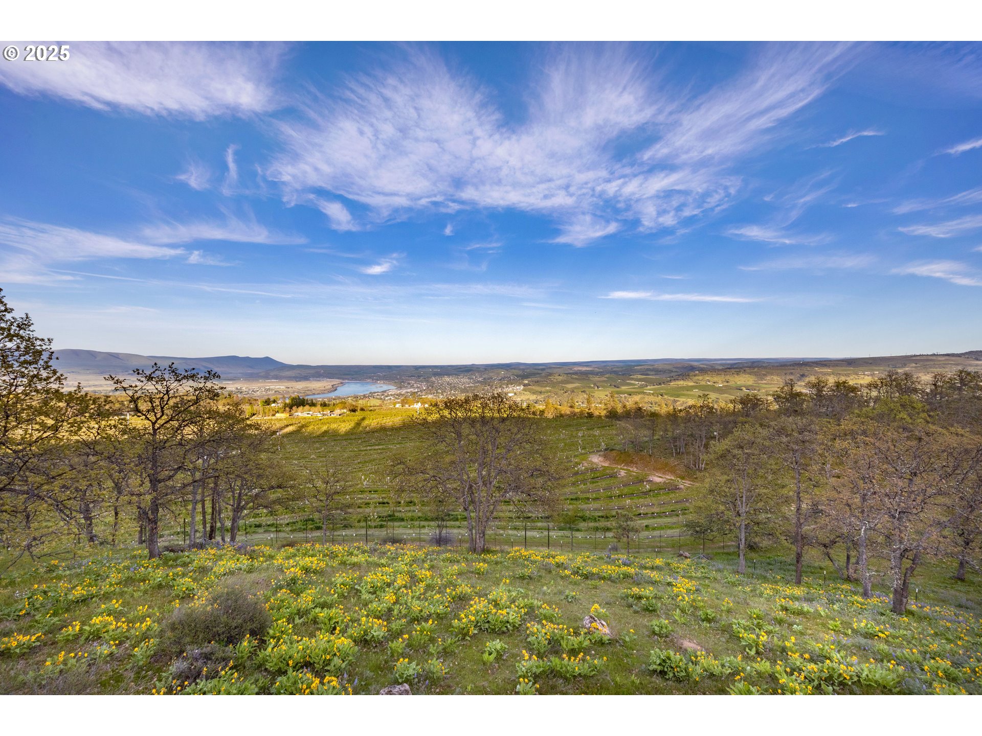 The Dalles, Oregon 97058, United States, 3 Bedrooms Bedrooms, ,2 BathroomsBathrooms,Residential,Active,238807