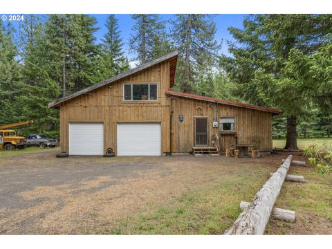 A home in Trout Lake