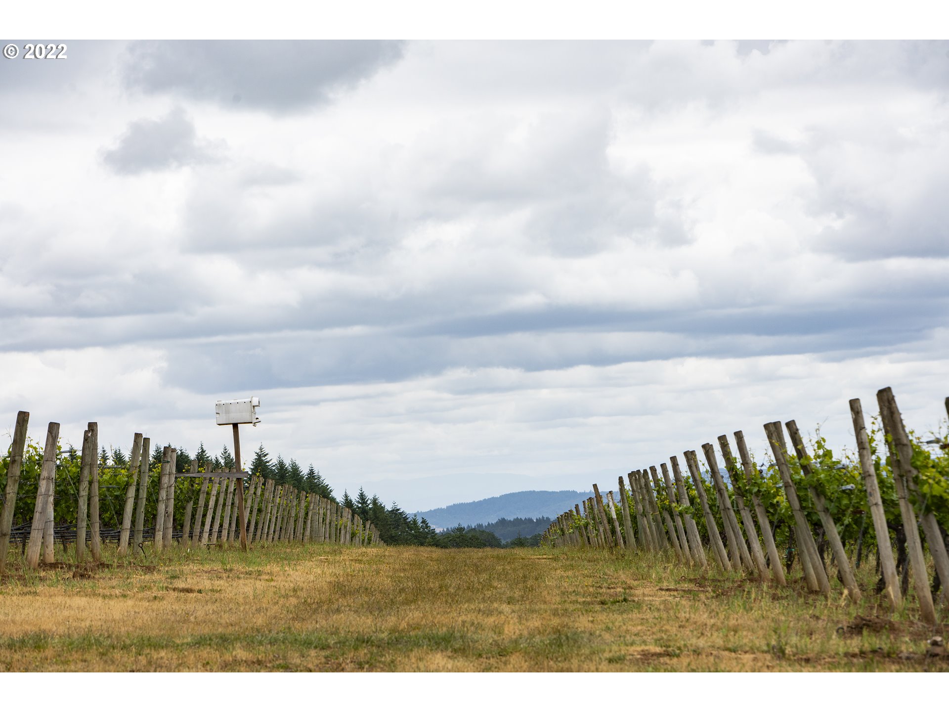 Dallas, Oregon 97338, United States, 3 Bedrooms Bedrooms, ,4 BathroomsBathrooms,Residential,Active,74119