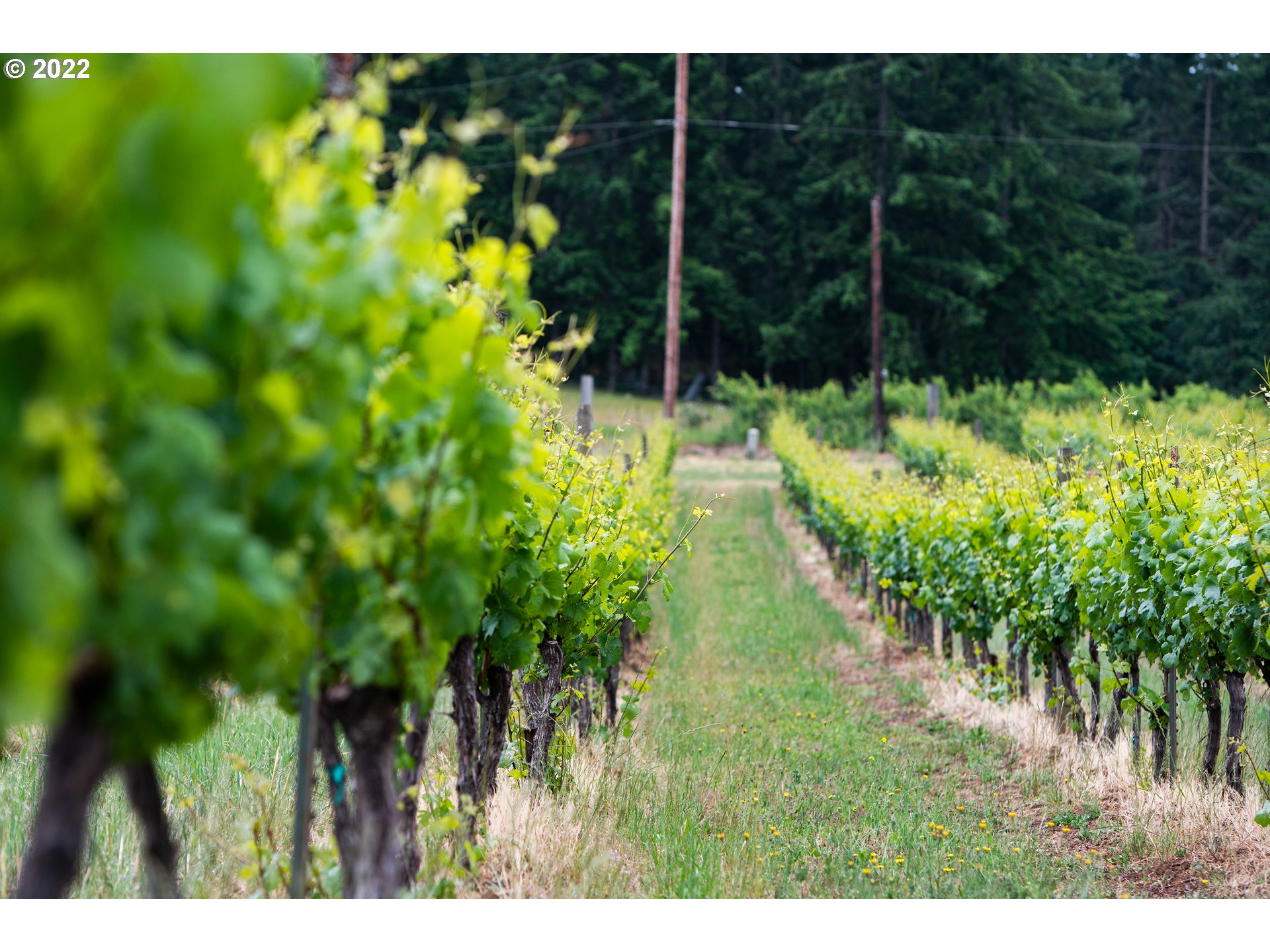 Dallas, Oregon 97338, United States, 3 Bedrooms Bedrooms, ,4 BathroomsBathrooms,Residential,Active,74119