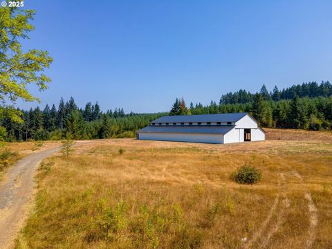 217th Brush Prairie WA 98606