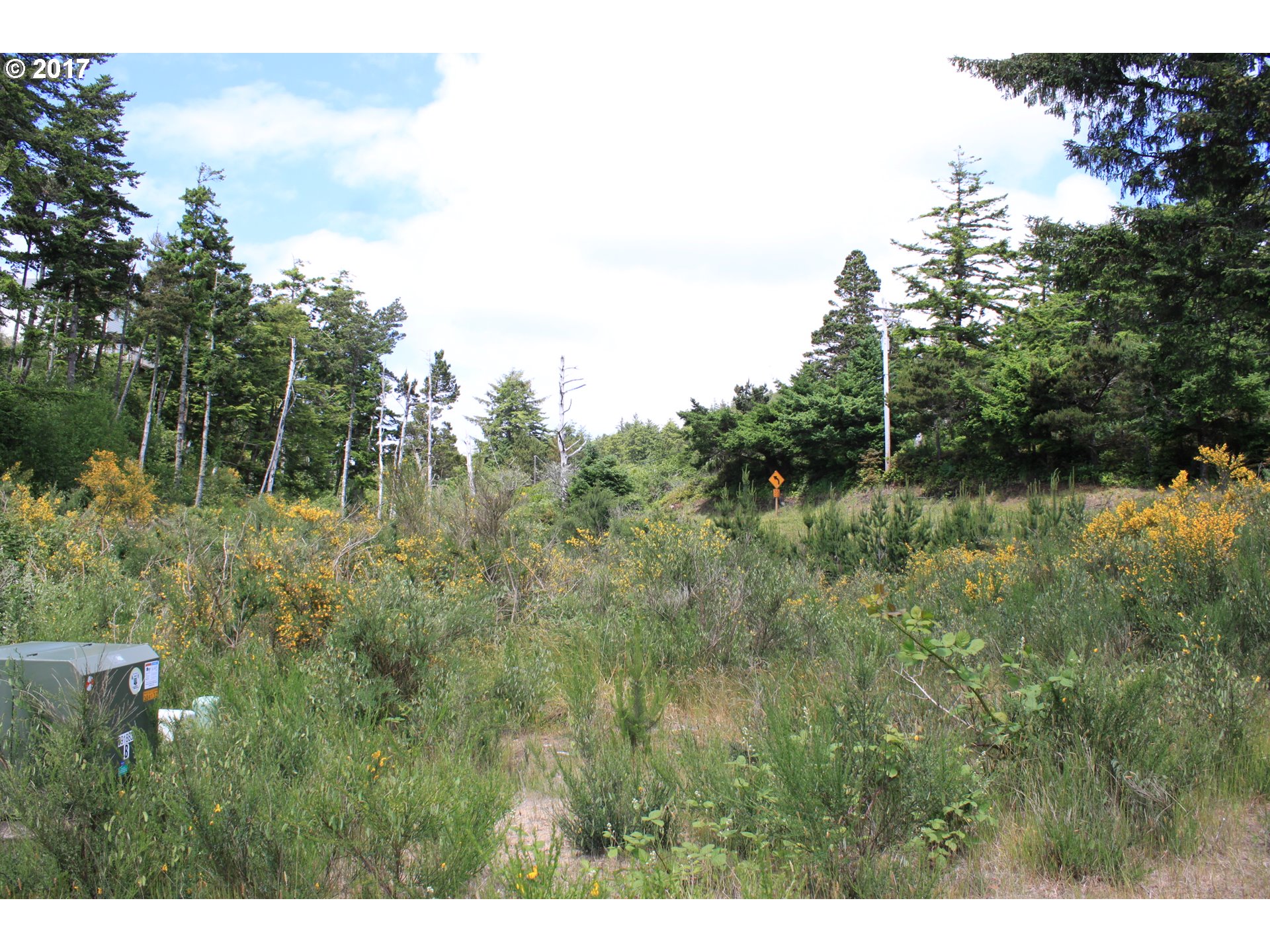 Oceanside, Oregon 97134, United States, ,Land,Active,66978