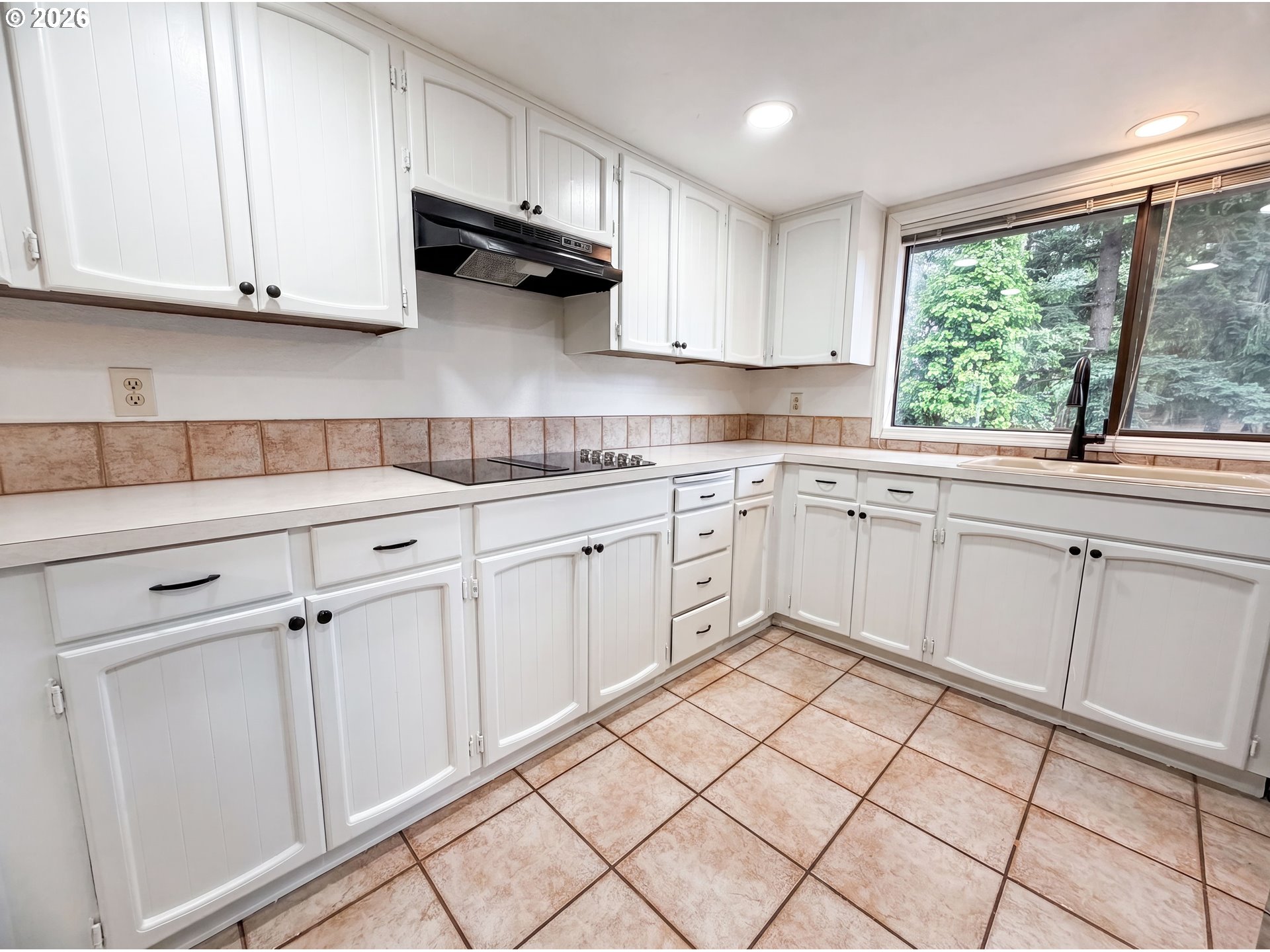 4246 SPRING ROCK CIR