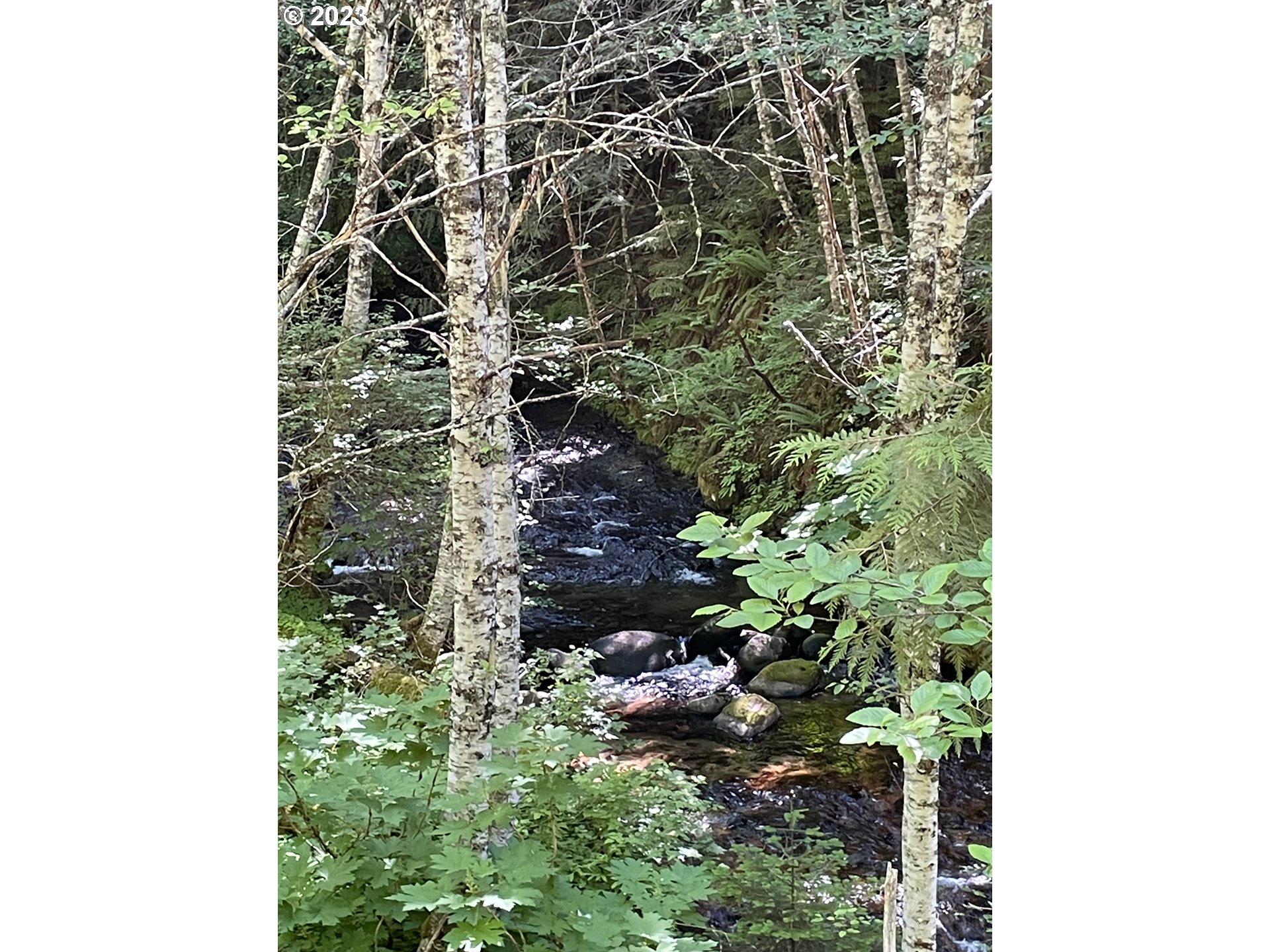 Forest Road 4610