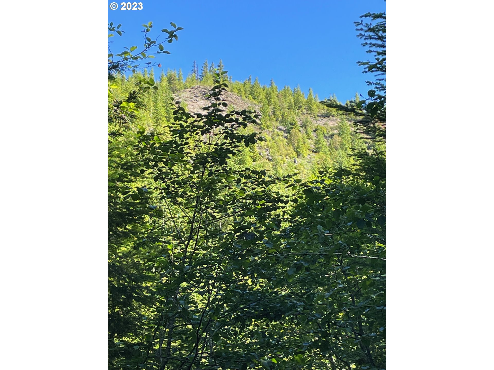Forest Road 4610