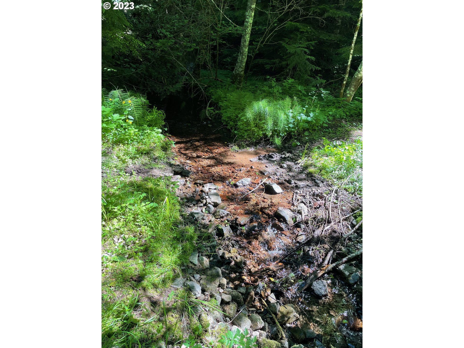 Forest Road 4610