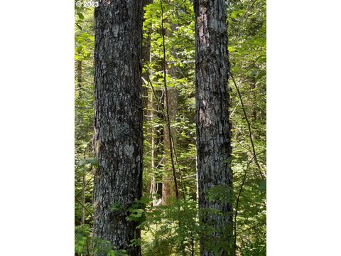 Forest Road 4610 Estacada OR 97023