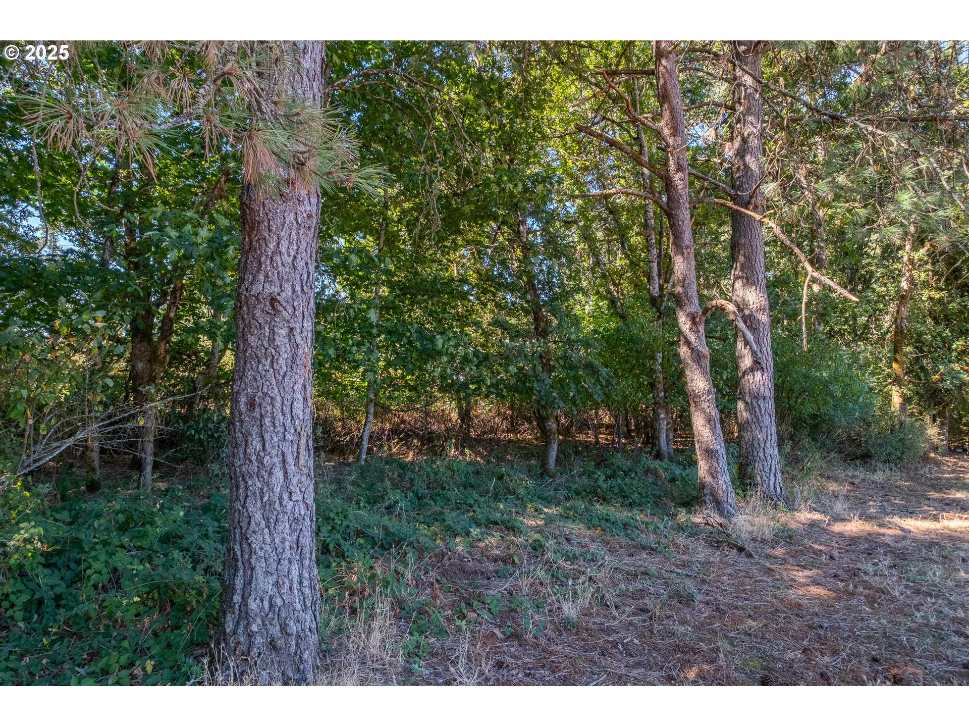 Turner, Oregon 97392, United States, ,Land,Active,189170