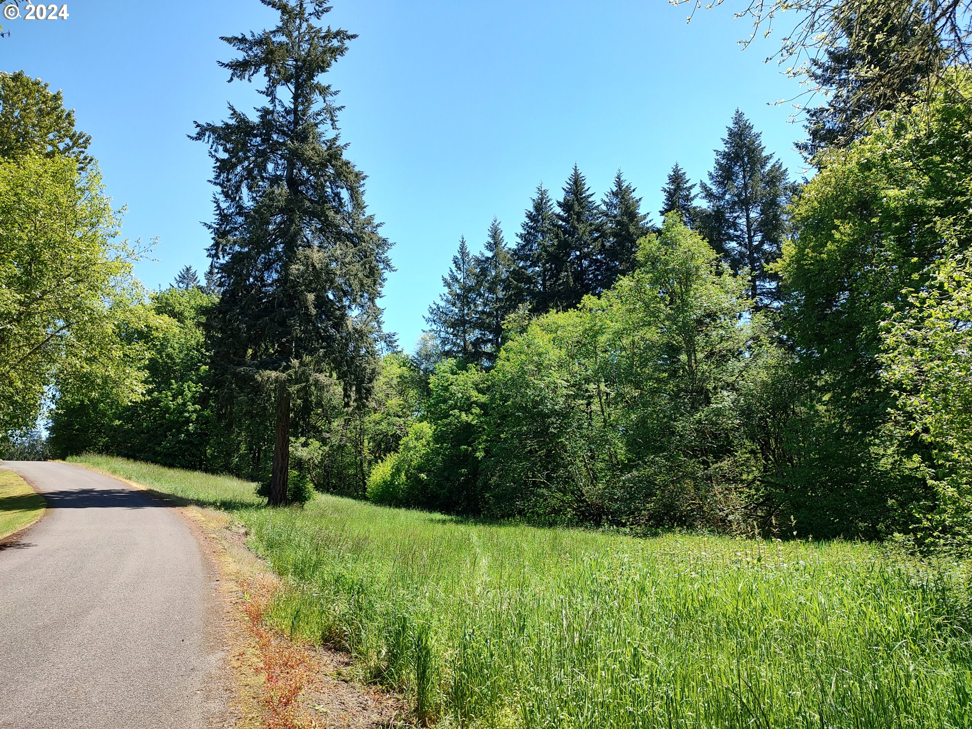 NE 294th CIR
