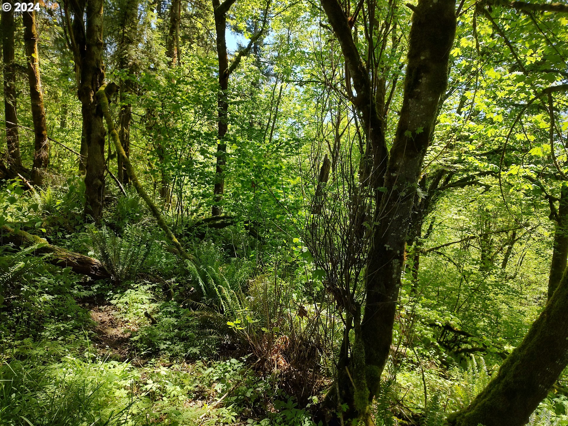 NE 294th CIR