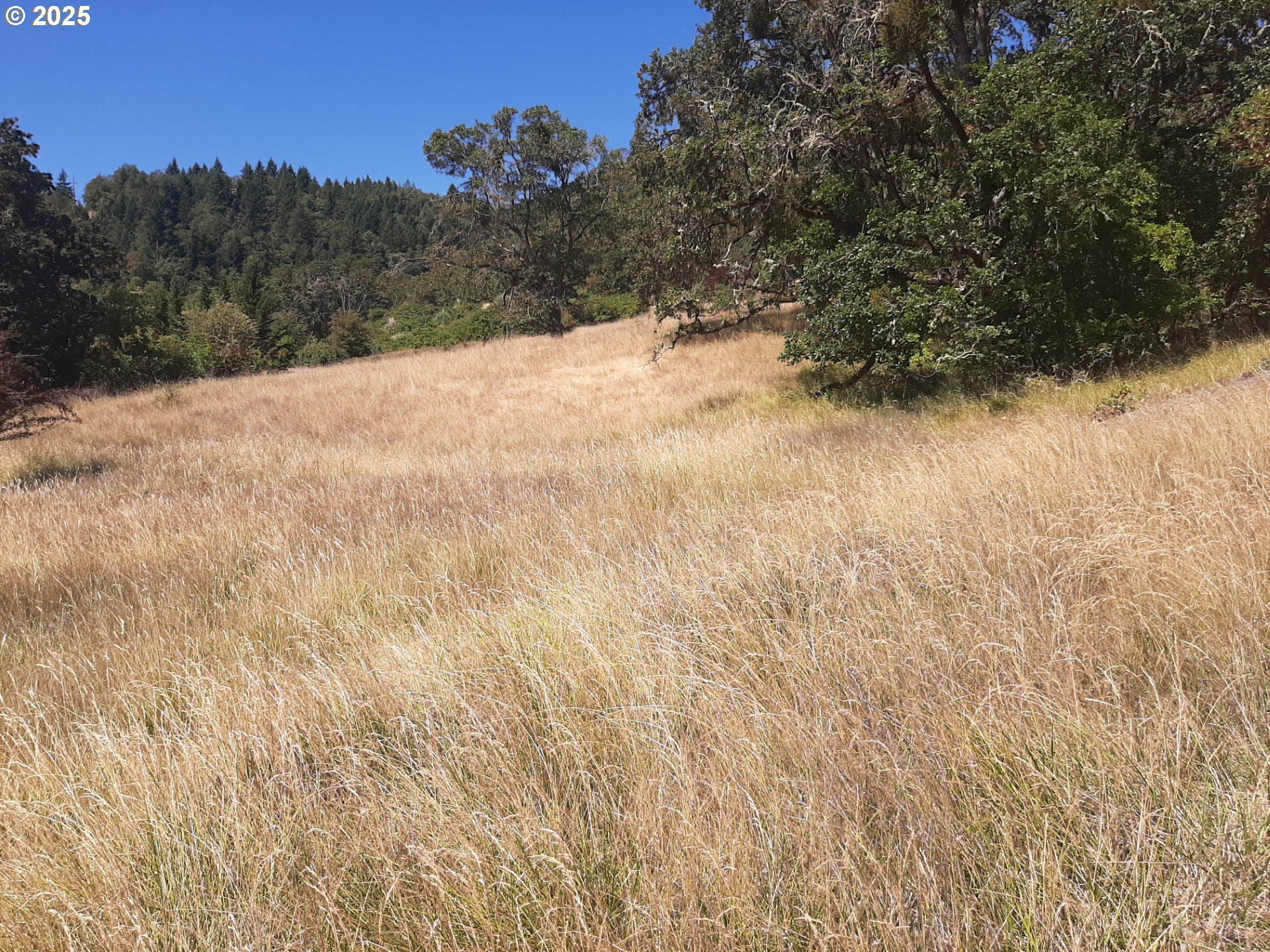 Roseburg, Oregon 97471, United States, ,Land,Active,178592