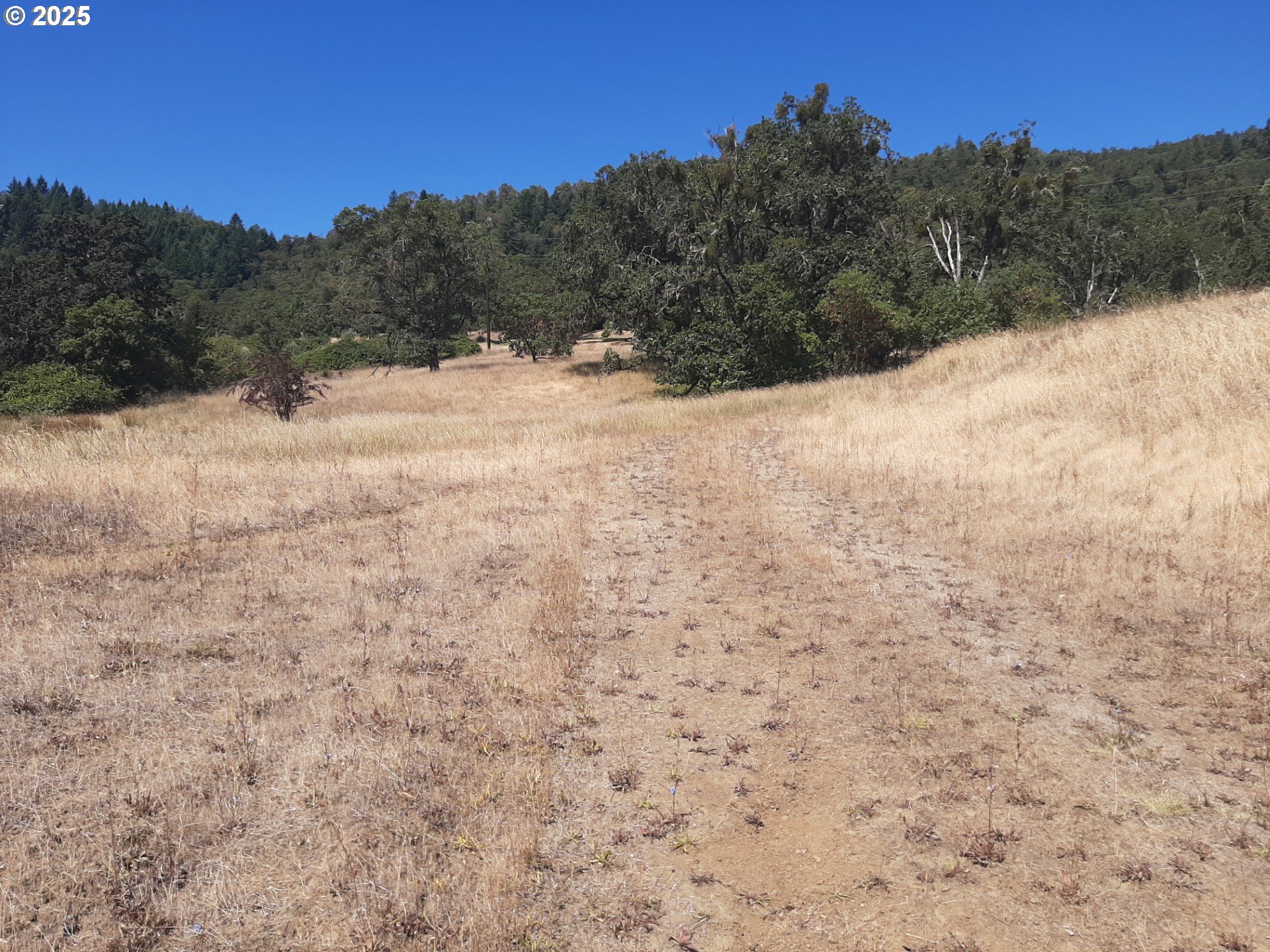 Roseburg, Oregon 97471, United States, ,Land,Active,178592