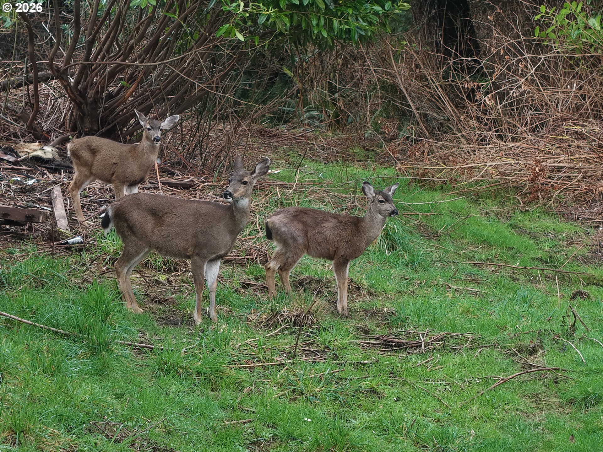 62885 ISTHMUS HEIGHTS RD