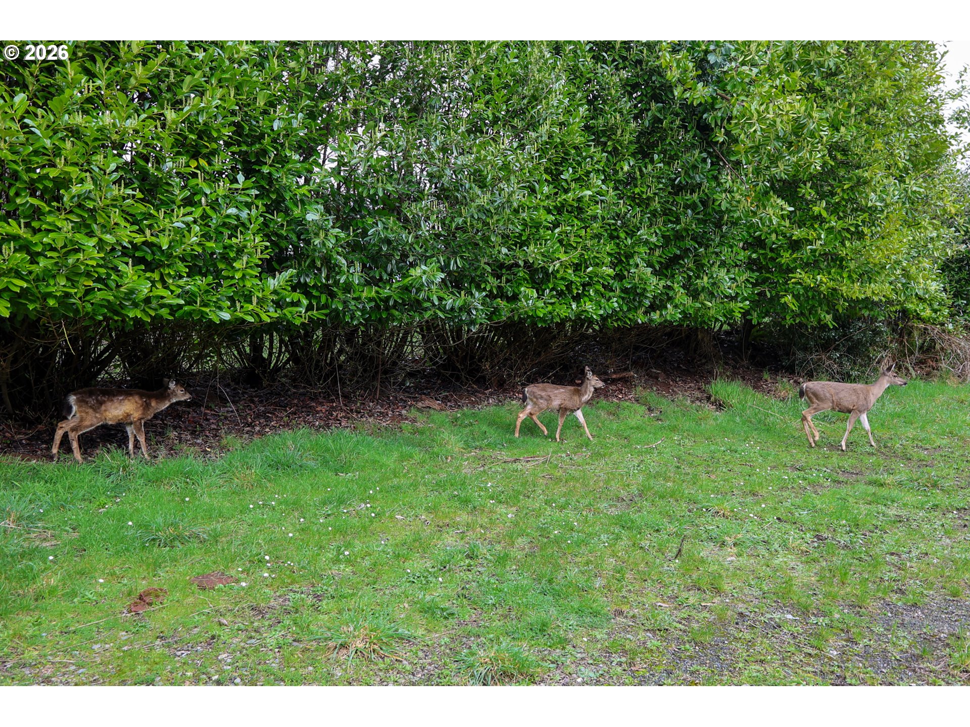 62885 ISTHMUS HEIGHTS RD