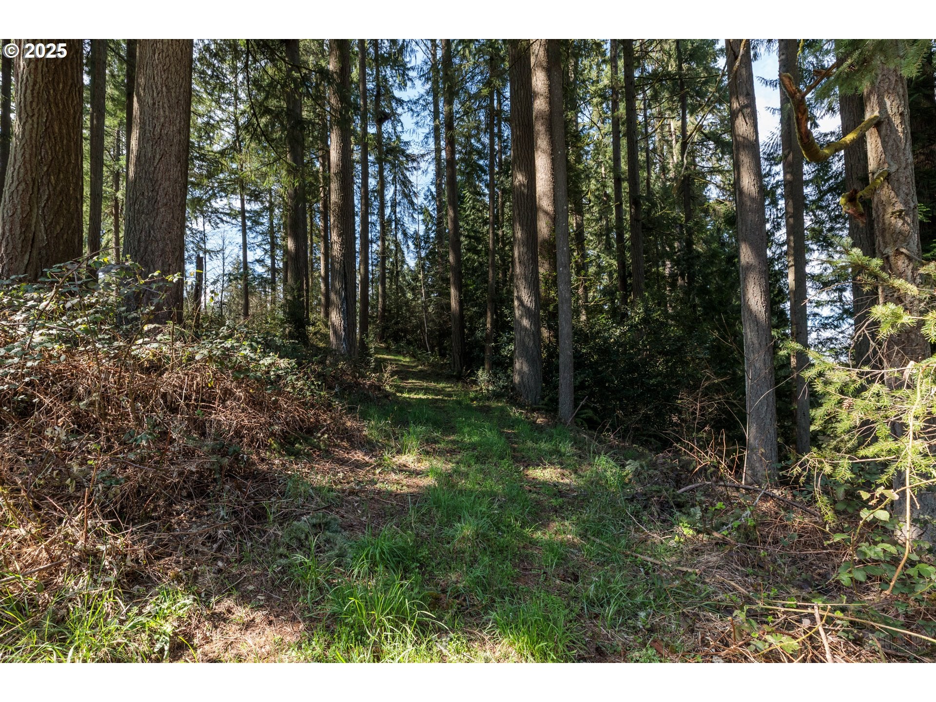 0 Oester RD