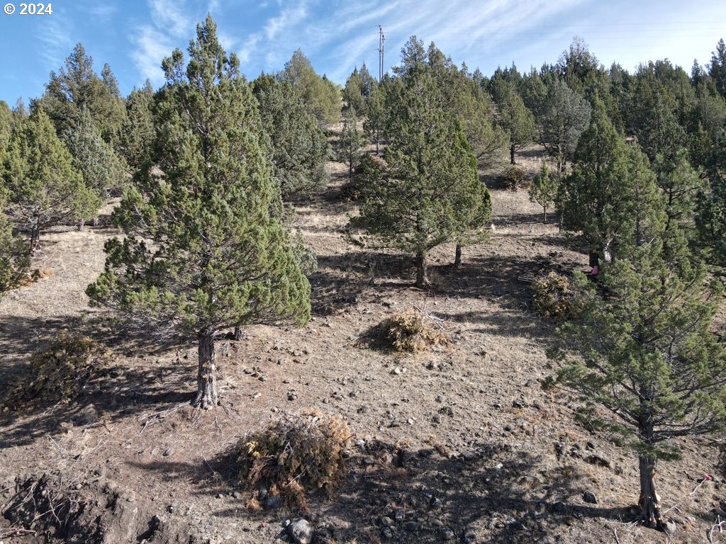 4008 PATTERSON DR