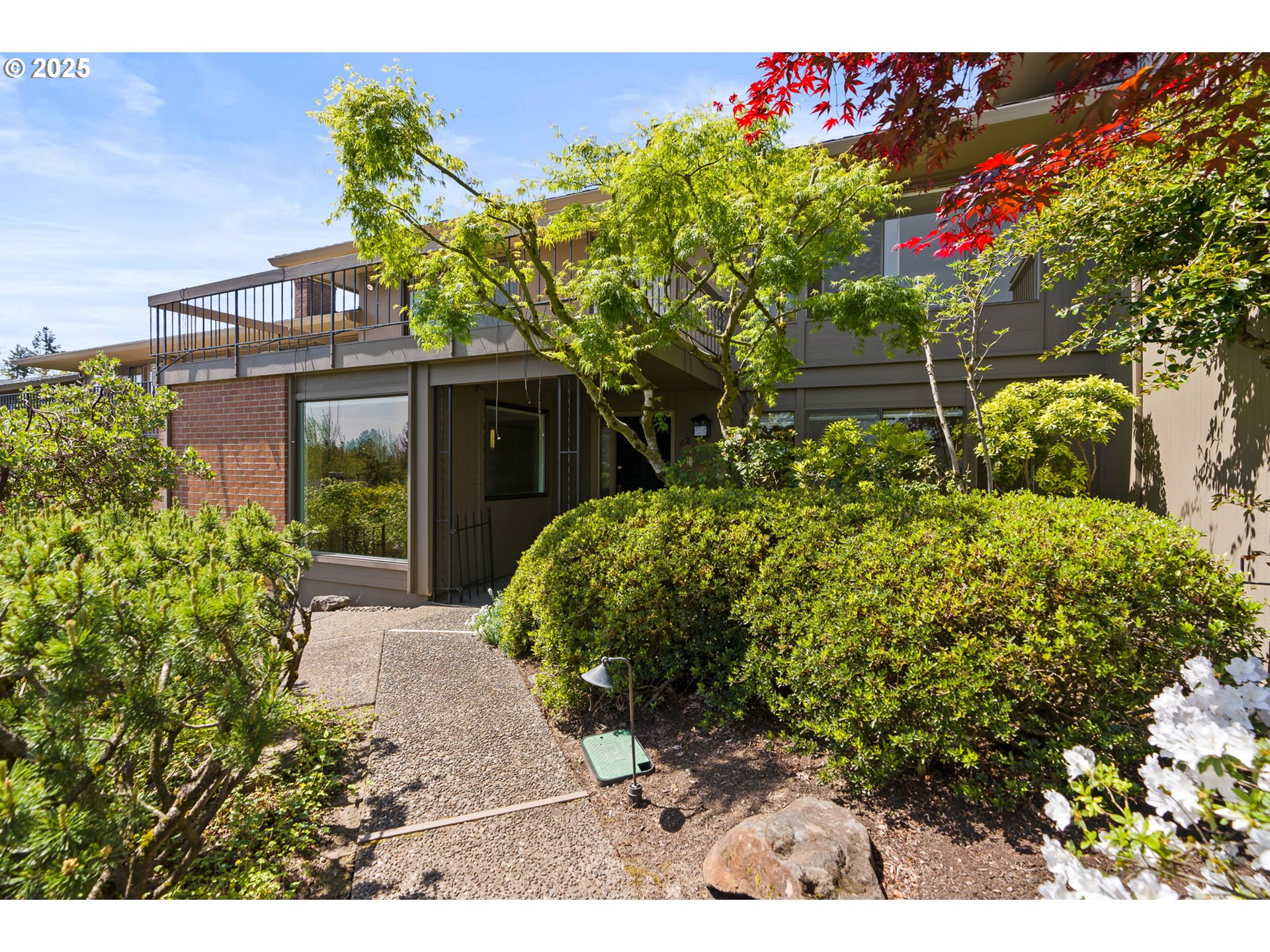 62 CONDOLEA TER