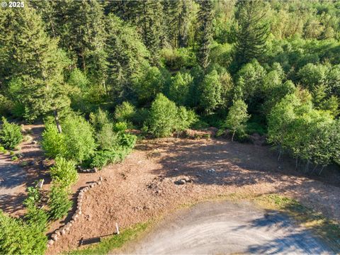 Thompson DR Lot #3 Washougal WA 98671