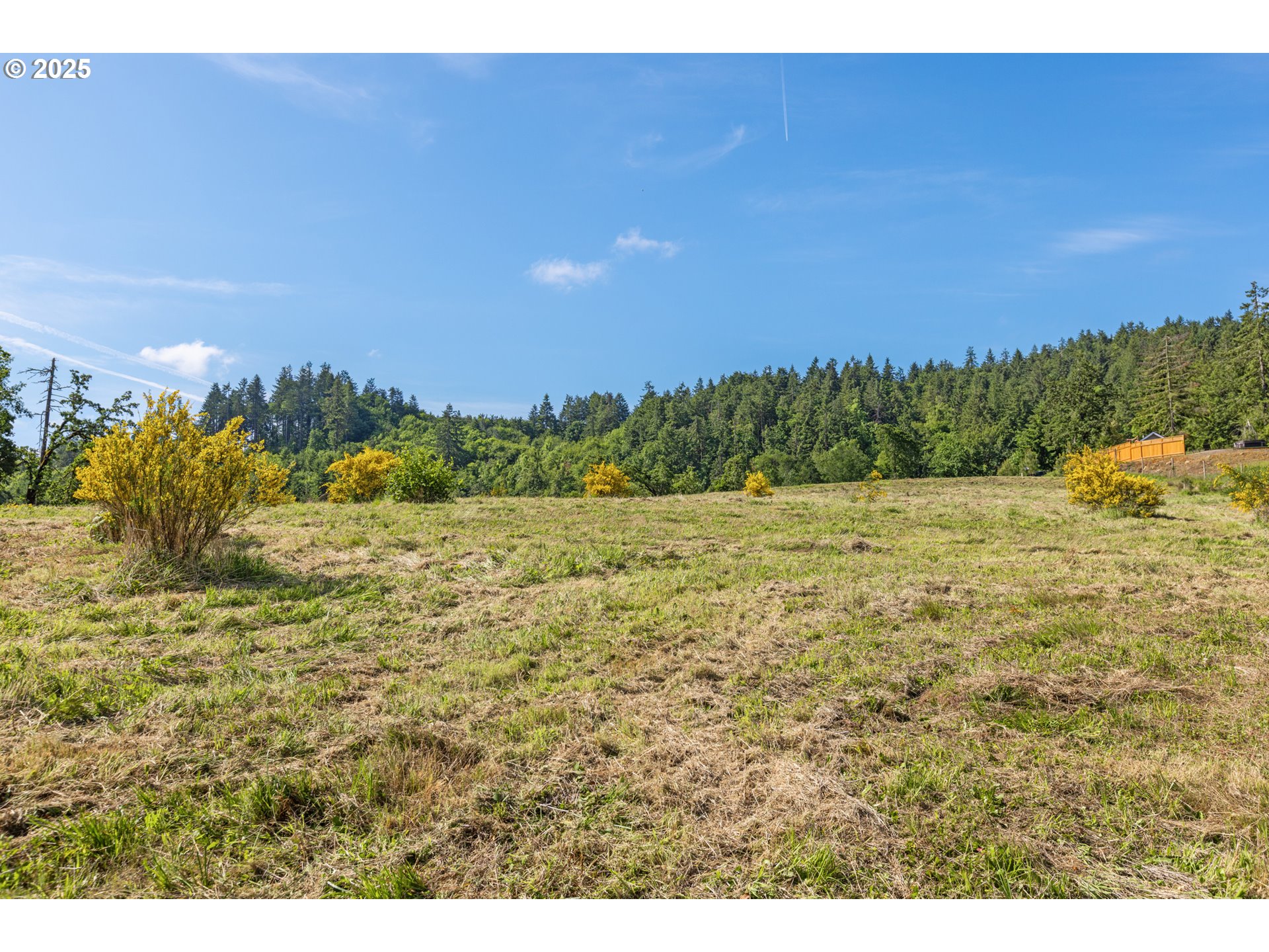 Spring Blvd Lot02500