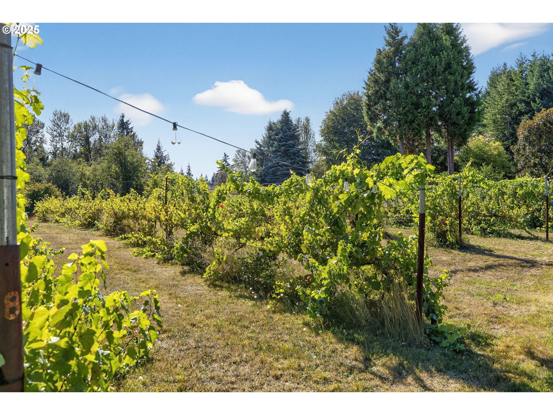 32102 NW EAGLE CREST DR