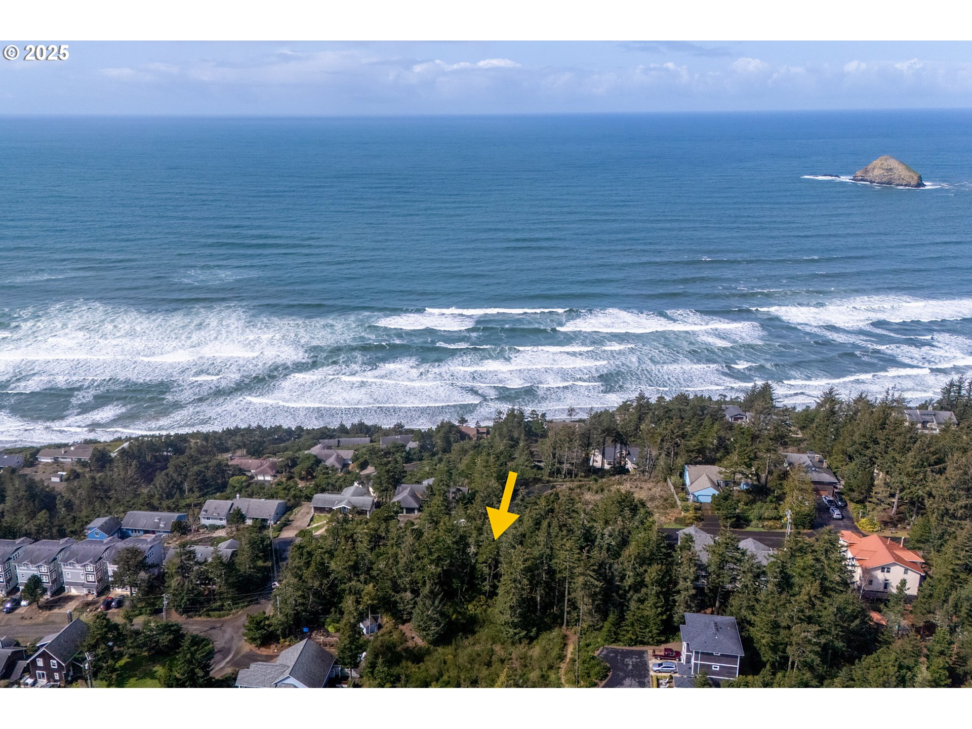 Oceanside, Oregon 97134, United States, ,Land,Active,102156